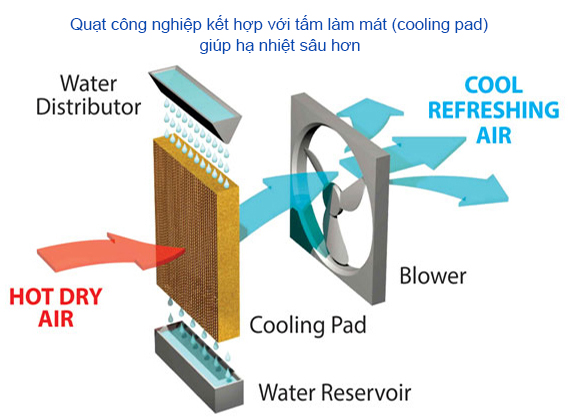 Quạt thông gió vuông công nghiệp kết hợp tấm làm mát cooling pad